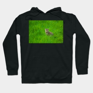 flb green eyes Hoodie